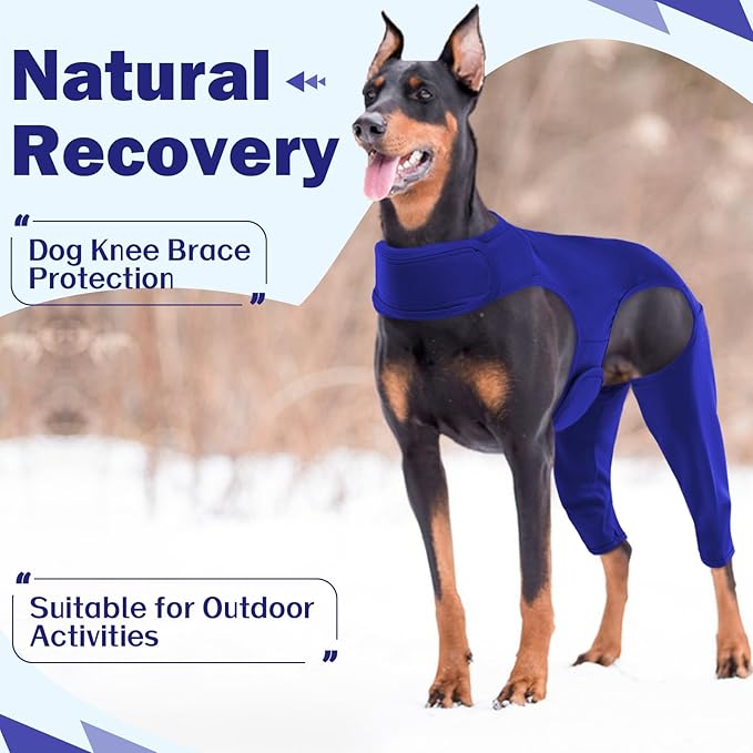 ROZKITCH Dog Suit for Surgery Recovery for Rear Right Left Leg, Pet Prevent Licking Wound Elbow Protector, Dog Rear Leg Sleeve to Stop Licking for Sprain ACL CCL Arthritis Joint Care Blue S