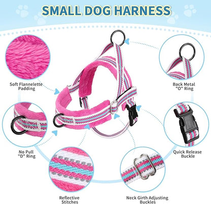 Lukovee No Pull Dog Harness and Leash Set, Soft Padded Small Dog Harness, Neck & Chest Adjustable Reflective Vest Puppy Harness with 4ft Lightweight Anti-Twist Dog Leash for Small Dogs (XS, Fuschia)