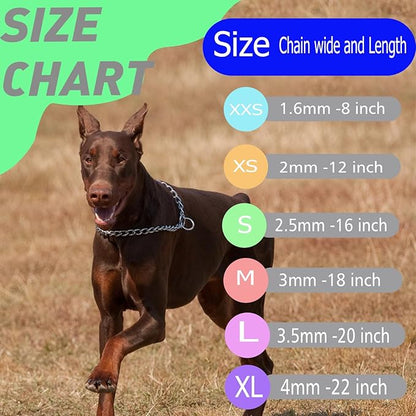Choke Collar for Dogs, Choker Chain Metal Heavy Duty Chain Collar Dog Collars for XS Small Medium Large Big XL Dogs Girls Boys (Silver, M)