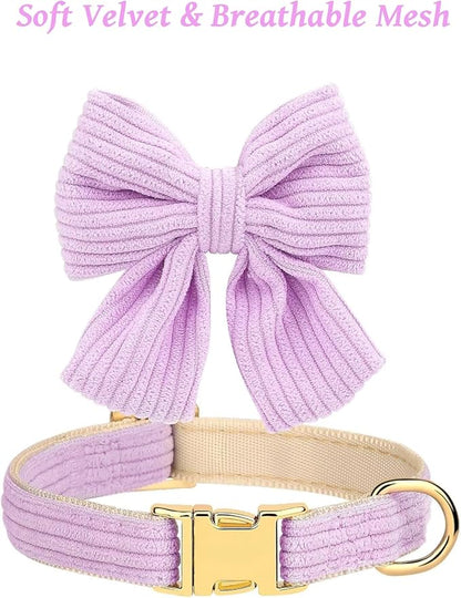 Dog Collar and Leash Set with Bowtie, Girl Dog Collars Metal Buckle Adjustable for Small Medium Dogs (Purple, S: Neck 10"-16" Leash 5 FT)