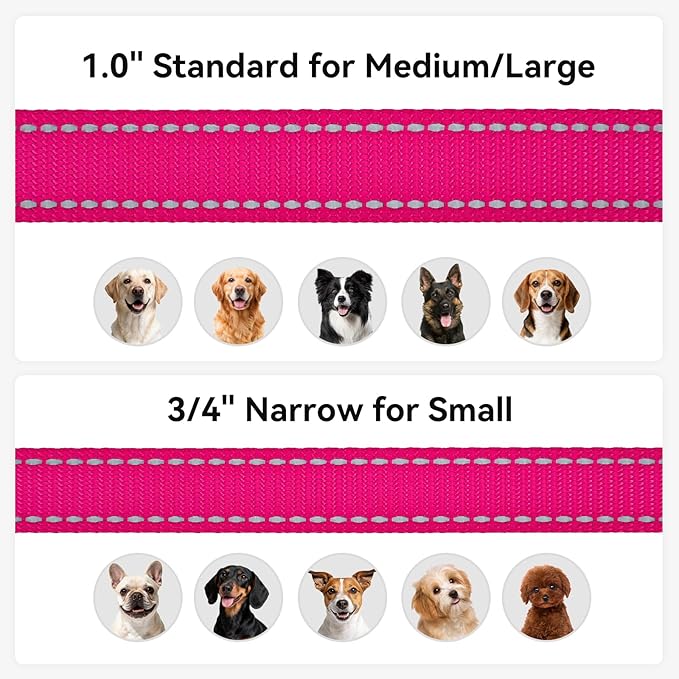 Joytale Dog Leash, 5 FT Double-Sided Reflective, Padded Handle Nylon Heavy Duty Leashes for Medium & Large Dogs Walking, Hotpink