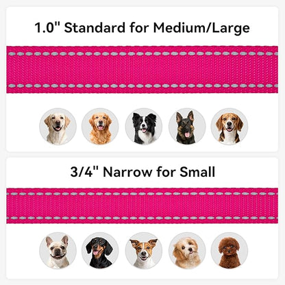 Joytale Dog Leash, 5 FT Double-Sided Reflective, Padded Handle Nylon Heavy Duty Leashes for Medium & Large Dogs Walking, Hotpink