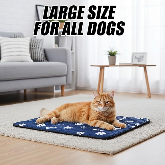 Puppy Pad with Pheromones, Training Pads for Dogs, 30x30cm Blue Bone Design, Includes 3 Random Color Bell Balls, Ideal for Puppy Potty Training, Senior Pet Care, and Travel