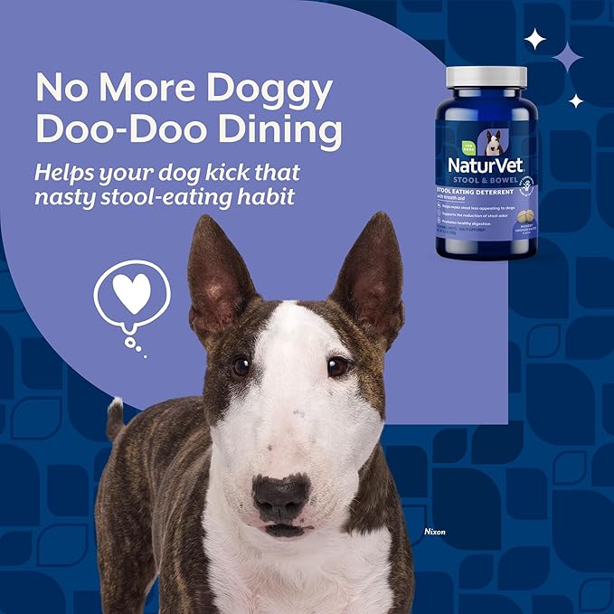 NaturVet – Coprophagia Stool Eating Deterrent Plus Breath Aid | Deters Dogs from Consuming Stool | Enhanced with Breath Freshener, Enzymes & Probiotics | 60 Chewable Tablets