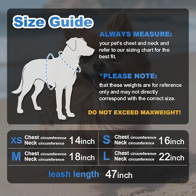Dog Harness Medium Sized Dogs, Puppy Harness and Leash Set for Training, Running, Walking, Suitable for Small and Medium Dog Vest, Blue, M