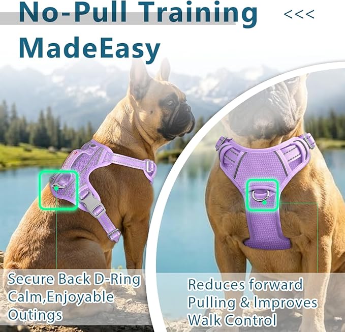 BARKBAY Dog Harness No Pull with ID Tag Pocket - Heavy Duty, Reflective, Easy Control for Large Dogs(Violet Purple,M)