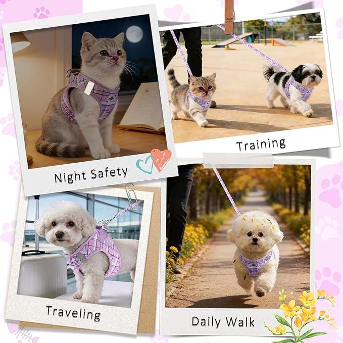 Gyuzh Dog Harness and Leash Set for Puppies - 3 Piece Step in No Pull Vest & Collar, Extra Small Kitten Harness, Breathable Reflective Plaid, Padded Leash (Purple, S)