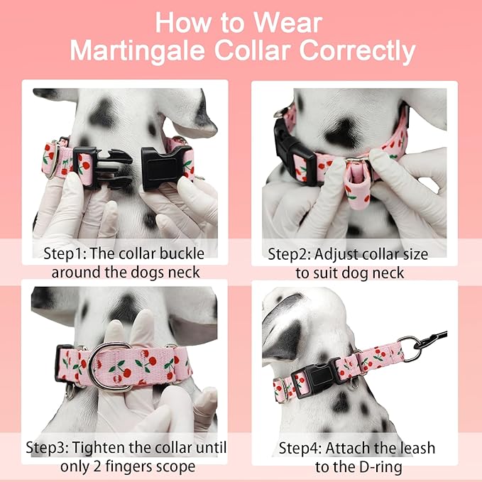 Martingale Dog Collars for Large Dogs with Buckle No Pull Cute Girl Pink Pet Collar (Cherry, Large)