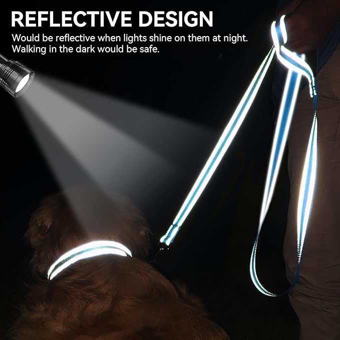 Joytale Dog Leash, 5 FT Double-Sided Reflective, Padded Handle Nylon Heavy Duty Leashes for Small Dogs Walking, Sky Blue
