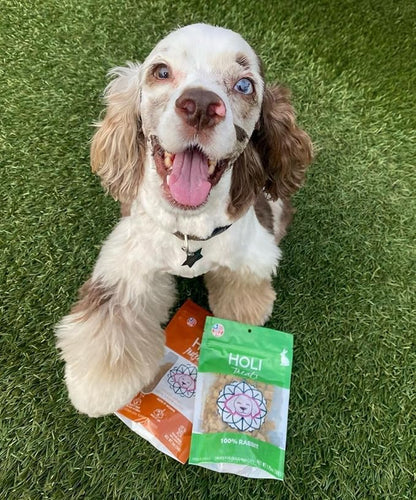 HOLI Lamb Liver Dog Food Topper – Freeze Dried Lamb Liver Dog Topper for Dry Food – Single Ingredient, Human-Grade Meal Topper for Picky Dogs – Grain Free & All Natural - 2oz