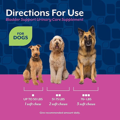 NaturVet Bladder Support Plus Cranberry for Dogs, 60 ct Soft Chews, Made in The USA with Globally Source Ingredients