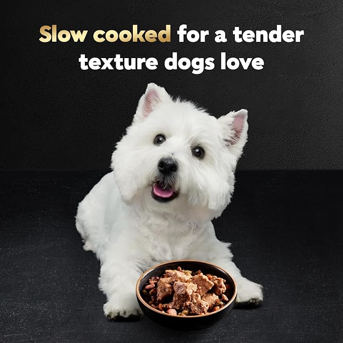 Cesar Loaf & Topper in Sauce Wet Dog Food, Bacon Feast Variety Pack, Rotisserie Chicken Flavor with Bacon & Cheese & Angus Beef Flavor, Wet Food for Dogs, 3.5 oz Easy Peel Trays, 12 Count (Pack of 2)