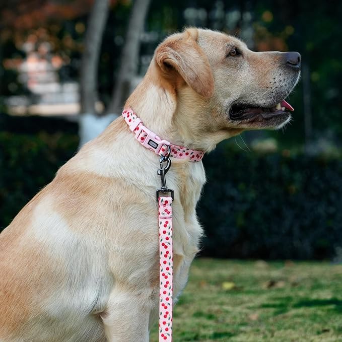 Dog Collar and Leash Set, Cherry Pattern, Polyester Material, 5ft Leash, for Small Dogs.(Small,Pink Cherry)