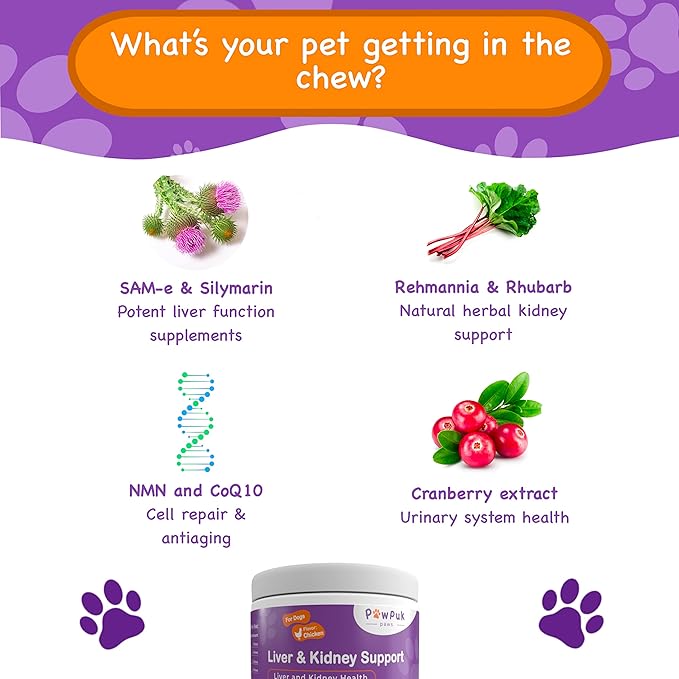 Liver & Kidney Vitamins Supplements for Dogs, SAM-E & Silymarin - Liver Function, NMN & CoQ10 - Anti-Aging, Rehmannia & Rhubarb - Natural Herbal Kidney Support, Cranberry - UT Health