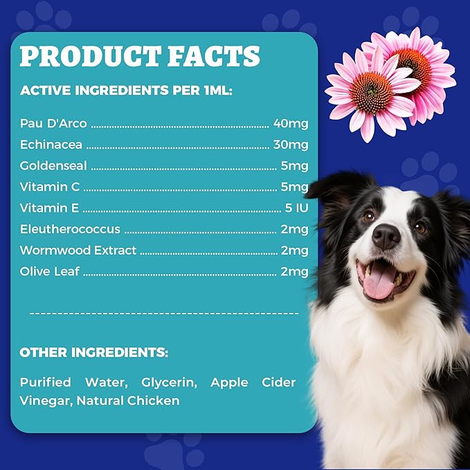 Wellix 120ml Natural Antibiotics for Cats&Dogs - Natural Herbal Supplement for Wound Care, UTI, Sneezing Treatment & Cold Relief - Cat Antibiotics Chicken Flavor for All Ages & Breeds