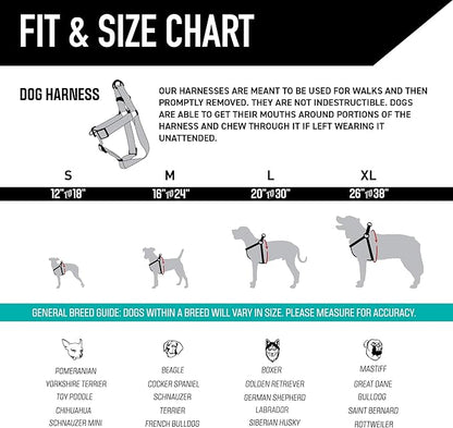 Wolfgang Heavy Duty Adjustable Dog Harness, Pull-Tested to Over 800 lbs for Walking & Training, Quetzal Print, Medium