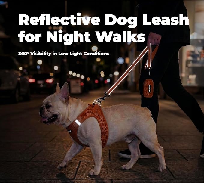 Best Pet Supplies Voyager Reflective Dog Leash or Collar with Neoprene Handle, for Small, Medium, and Large Breed Puppies, Cute and Heavy Duty for Walking, Running and Training - Orange (Leash), S