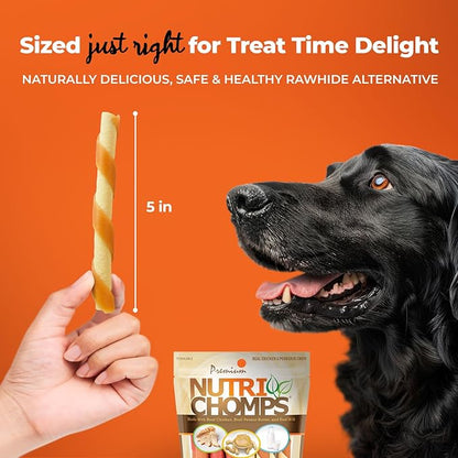NutriChomps Dog Chews 5-inch Twists, Easy to Digest, Rawhide-Free Dog Treats, 10 Count, Real Peanut Butter Flavor, Bundle of 2, 20 Count, NT063V-2