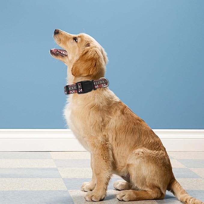 Reflective Dog Collar, Adjustable Soft Neoprene Padded Nylon Pet Collars with Buckle for Puppy and Small Dogs, Cats, Retro Geometric Flowers,XL