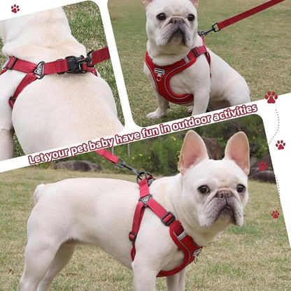 Dog Harness and Leash Set, Adjustable Triangle, Reflective Adjustable Puppy Vest, No Pull Soft Mesh Harness for Small, Medium Dogs, Cats (Red, XL)