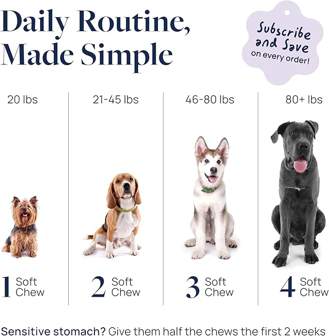 Veterinary Formula Pet Calm 60ct – Vet-Formulated Calming Chews for Dogs with L-Theanine, L-Tryptophan for Behavior Support, Relaxation Treats, Puppy Chews for Stressful Situations, Dog Calming Aid