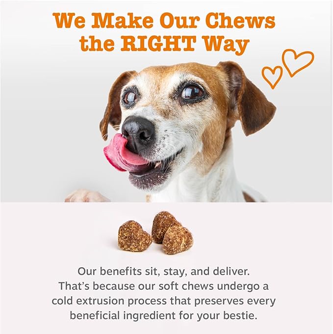 Zesty Paws Stay Green Bites for Dogs - Grass Burn Soft Chews for Lawn Spots Caused by Dog Urine - with Cranberry for Urinary Tract & Bladder - Chicken - 90 Count