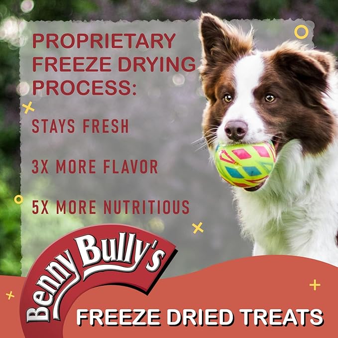BENNY BULLYS Chops Beef Liver Dog Treats, Freeze-Dried, Low Fat, High Energy & Nutrient Rich Food for Your Furry Friend, All Natural Ingredients, 40g - Entry