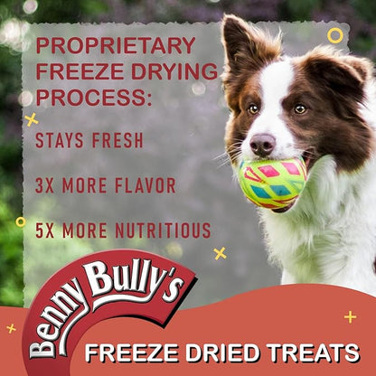 BENNY BULLYS Chops Beef Liver Dog Treats, Freeze-Dried, Low Fat, High Energy & Nutrient Rich Food for Your Furry Friend, All Natural Ingredients, 40g - Entry