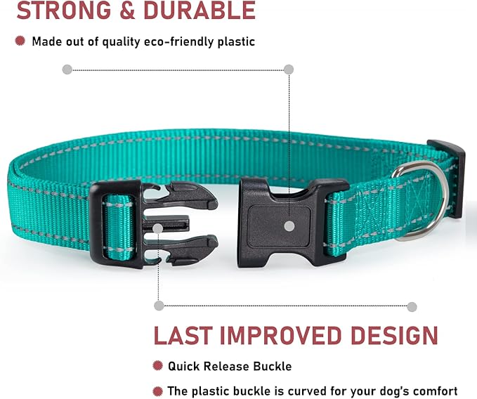 Reflective Dog Collar with Buckle Adjustable Safety Nylon Collars for Small Medium Large Dogs, Teal XXS