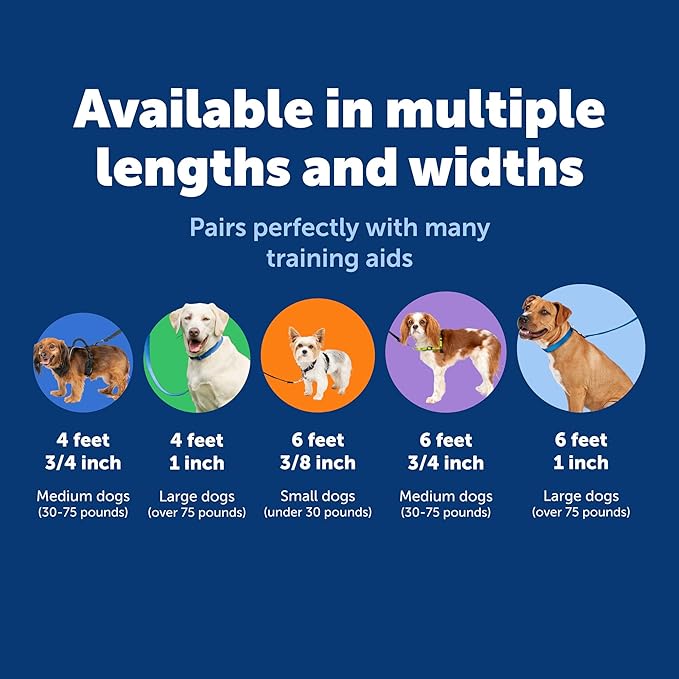 PetSafe Nylon Leash - Strong Dog Leash for Everyday Use - Secure & Simple Design for Reliable Control - Lightweight with Durable Hardware - 3/8 Inch - 6 Feet - Blue