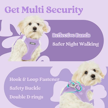 rabbitgoo Small Dog Harness, Step-in Soft Mesh Puppy Vest with Safety Buckle, Breathable Reflective Pet Harness for Large Dogs, Light Purple XXL
