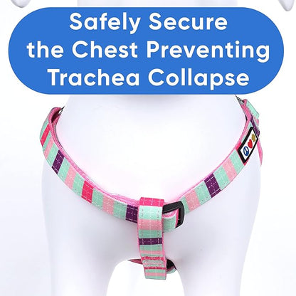 Pawtitas Multicolor Step-in Dog Harness – Adjustable No-Pull Vest for Puppies to Seniors, Safe & Comfortable XS Teal/Pink/Purple