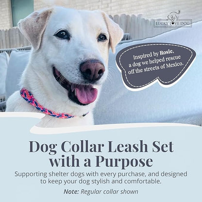 Lucky Love Dog Martingale Dog Collar & Leash - Adjustable, No-Slip, Durable, Comfortable, Soft Webbing, & Stylish Patterned Collar & Leash Set for Male and Female Dogs - Rosie Combo, Medium