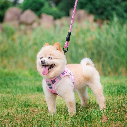 BEAUTYZOO Small Dog Harness and Leash Set,Step in No Choke No Pull Soft Mesh Dog Harnesses Reflective for Extra-Small/Small Medium Puppy Dogs and Cats, Plaid Dog Vest Harness for XS S Pets, Pink XXS