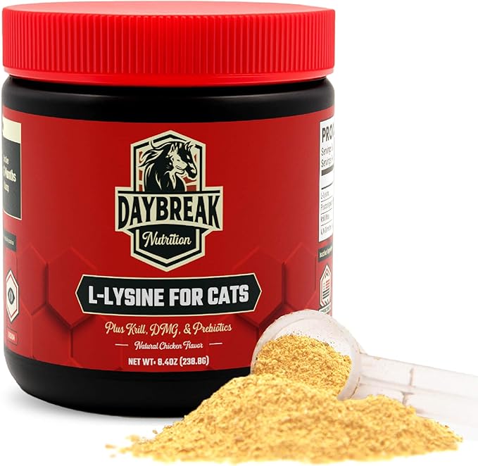 Daybreak Nutrition Lysine for Cats 900mg Powder - L-Lysine with 4 Active Ingredients for Immune and Respiratory Support - Made in USA Feline Supplement with 120 Servings