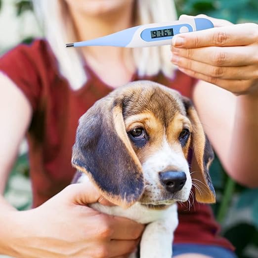 CONTEC Pet Thermometer Dog Thermometer Dual Scale Waterproof Veterinary Thermometer with a Flexible Tip Suitable for Cats/Dogs/Horse/Veterinarian