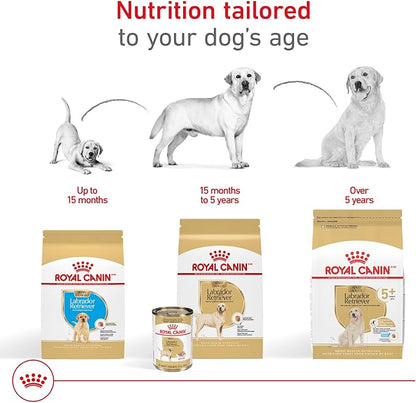 Royal Canin Breed Health Nutrition Labrador Retriever Adult Loaf in Sauce Dog Food, 13.5 oz (Pack of 12)