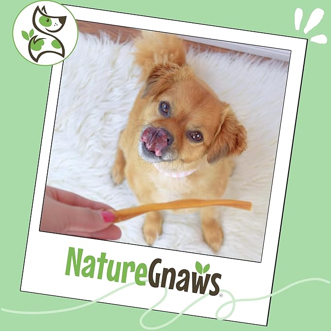 Nature Gnaws Super Skinny Bully Sticks for Small Dogs 5-6" (15 Count) - Long Lasting for Light Chewers and Puppies - Extra Thin Natural Beef Dog Chew Treats