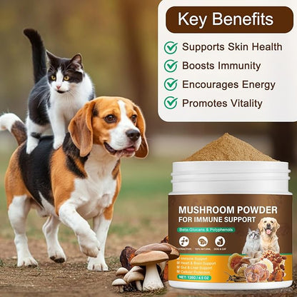 Mushroom Supplement for Dogs & Cats with Turkey Tail - Lipoma for Cats, 11 Blend Wild Mushroom Complex, Immune Support & Digestive Health for Pets - Enhances Liver Function
