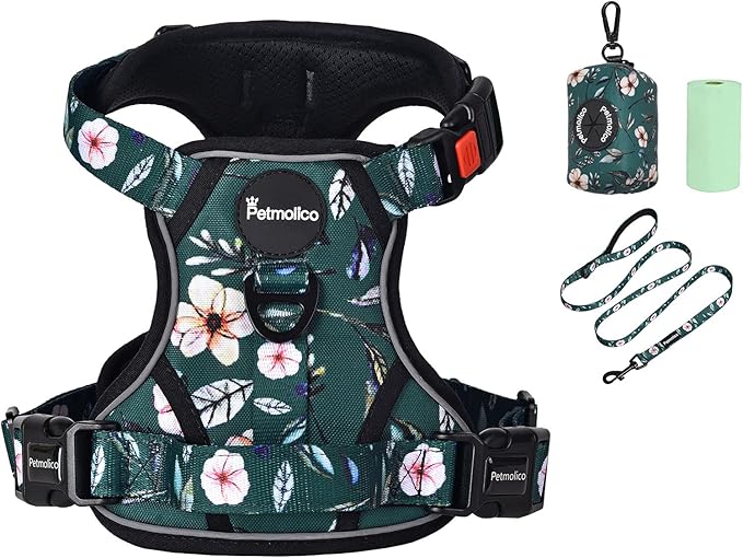 Petmolico No Pull Dog Harness Set with Leash Attachment Easy Control Handle Reflective Harness Vest Small Breed, Puppy Vest and Leash Set with Poop Bag Holder, Small - Green Rhododendron