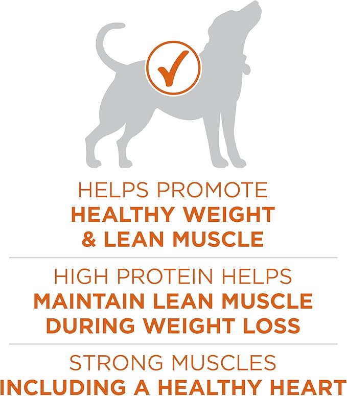 Purina ONE Plus Healthy Weight High-Protein Dog Food Dry Formula - 16.5 lb. Bag