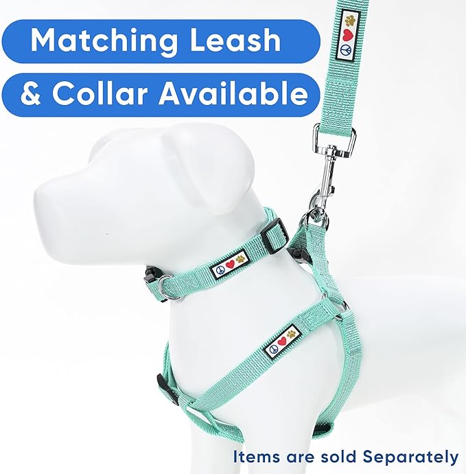 Pawtitas Reflective Step-in Dog Harness – Adjustable No-Pull Vest for Puppies to Seniors, Safe & Comfortable, L Teal