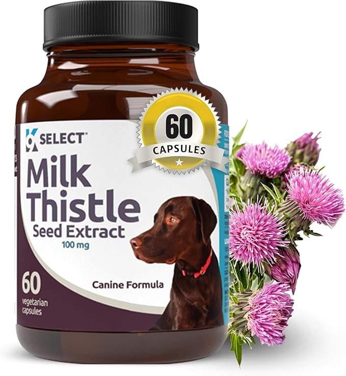 Milk Thistle for Dogs, 100mg - 60 Vegetable Capsules - Canine Liver Health Milk Thistle Supplement - Milk Herbal