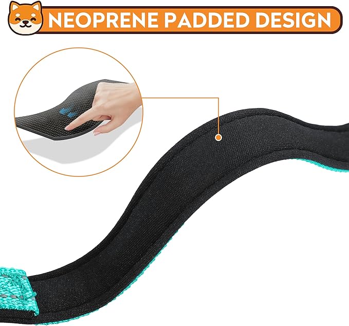 Reflective Dog Collar, Adjustable Soft Neoprene Padded Nylon Pet Collars with Buckle for Puppy and Small Dogs, Cats, Teal,XS