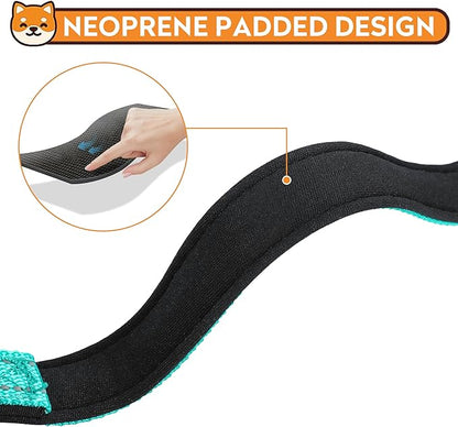 Reflective Dog Collar, Adjustable Soft Neoprene Padded Nylon Pet Collars with Buckle for Puppy and Small Dogs, Cats, Teal,XS