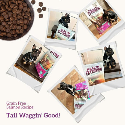 Health Extension Grain Free Salmon & Sweet Potato Dry Dog Food - 30+ Superfoods and Probiotics for All Life Stages (4 lb)