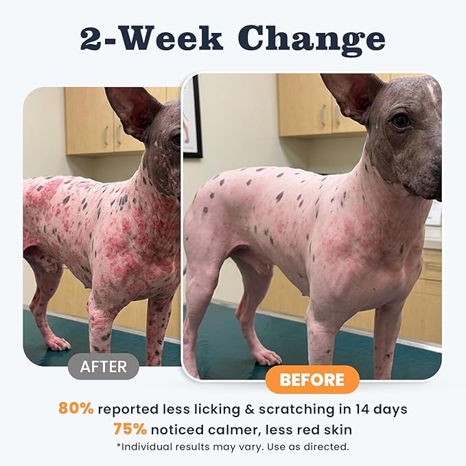 Dog Allergy Chews 200 Treats, Allergy & Itch Skin Relief Omega 3 Fish Oil Probiotics for Seasonal All Issues Allergies Skin & Hair, Gut, Immune Support-All Ages & Sizes Dogs Made in USA Chicken Flavor