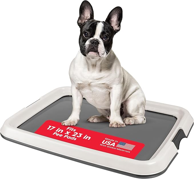 IRIS USA Pee Pad Holder for Dogs and Puppies, Potty Training Tray with Secured Latches, Non-Skid Feet, Leak Protection, Easy Clean Surface, Fits 17"x 23" Puppy Pads Size, Dark Gray