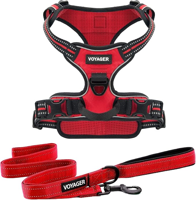 Voyager Dog Harness Dual Leash Attachment No-Pull Control Adjustable Soft but Strong Pet Harness for Medium and Large Dogs with 3M Reflective Technology, Leash Set Red Nylon, L (Chest: 25-30")
