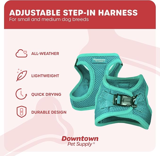 Downtown Pet Supply Step in Dog Harness for Small Dogs No Pull, Large, Bermuda Blue - Adjustable Harness with Padded Mesh Fabric and Reflective Trim - Buckle Strap Harness for Dogs